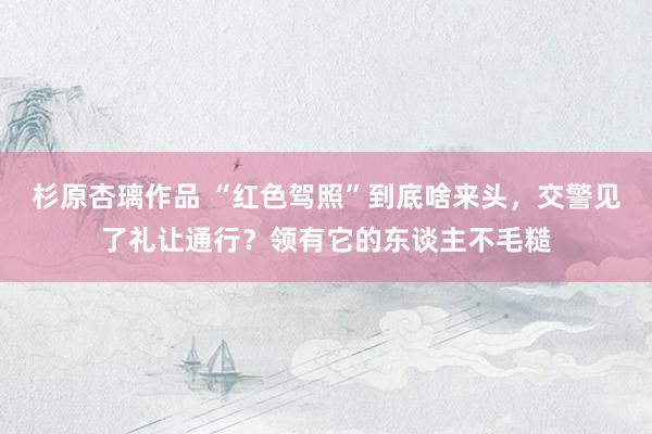 杉原杏璃作品 “红色驾照”到底啥来头，交警见了礼让通行？领有它的东谈主不毛糙