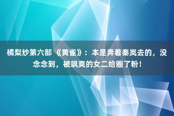 橘梨纱第六部 《黄雀》:本是奔着秦岚去的,没念念到,被飒爽的女二给圈了粉!