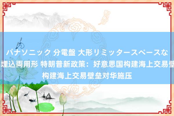 パナソニック 分電盤 大形リミッタースペースなし 露出・半埋込両用形 特朗普新政策:好意思国构建海上交易壁垒对华施压