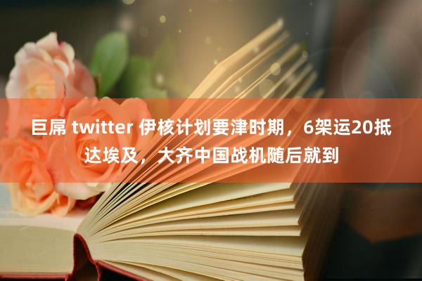 巨屌 twitter 伊核计划要津时期,6架运20抵达埃及,大齐中国战机随后就到