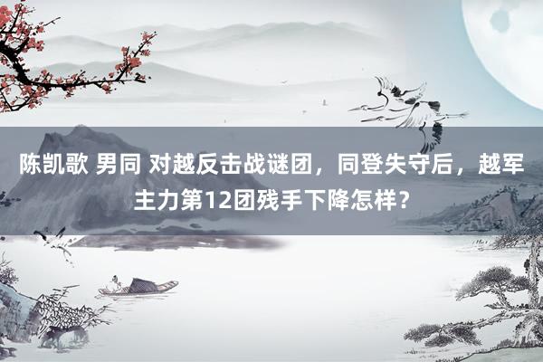 陈凯歌 男同 对越反击战谜团,同登失守后,越军主力第12团残手下降怎样?