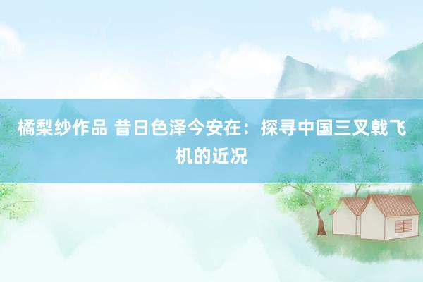 橘梨纱作品 昔日色泽今安在:探寻中国三叉戟飞机的近况