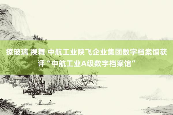 擦玻璃 裸舞 中航工业陕飞企业集团数字档案馆获评“中航工业A级数字档案馆”