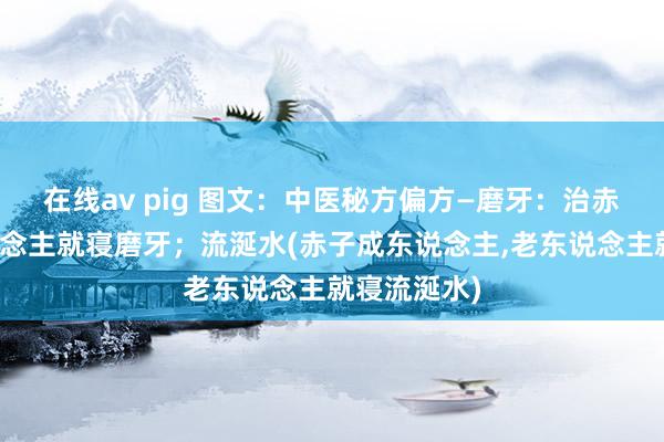 在线av pig 图文：中医秘方偏方—磨牙：治赤子及成东说念主就寝磨牙；流涎水(赤子成东说念主,老东说念主就寝流涎水)