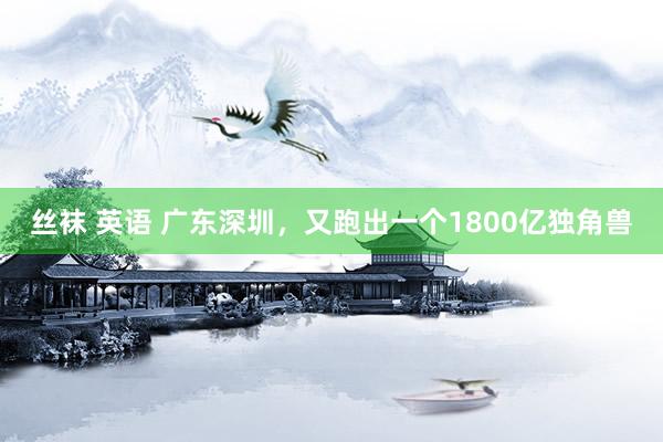 丝袜 英语 广东深圳,又跑出一个1800亿独角兽